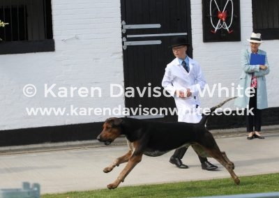 IMG_7617young Sam Watkins karendavisonwhite