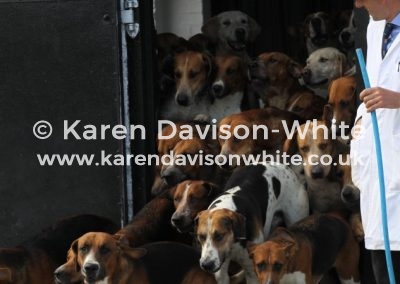 IMG_7635E&S foxhounds