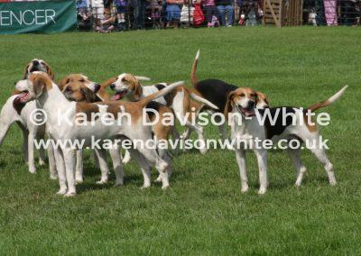 img_7730waveney-harriers