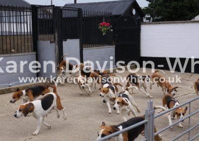 IMG_7736Dunston Harriers karendavisonwhite