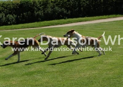 IMG_7785Safeguard middle kdwimage