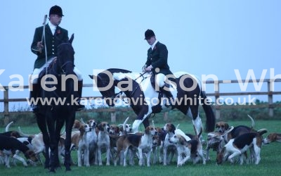 Thought you might like a little verse