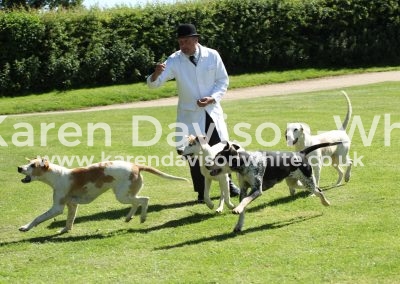 IMG_7831Thurlow bitches kdwimage