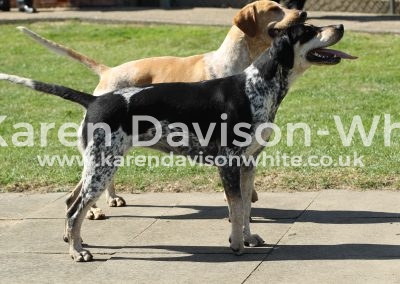 IMG_7854Sable and Safeguard