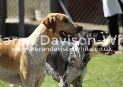 IMG_7862Safeguard and Sable