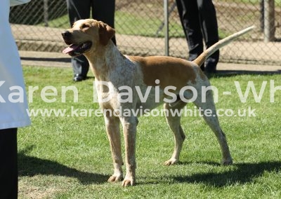 IMG_7877Thurlow Safeguard kdwimage