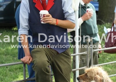 IMG_8050Bad Hare Day Joe kdwimage