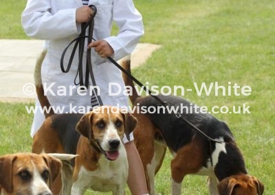 IMG_8087start 'em young