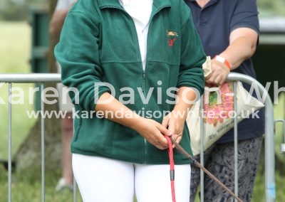 IMG_8129Hon Sec. Stour Valley Beagles kdwimage