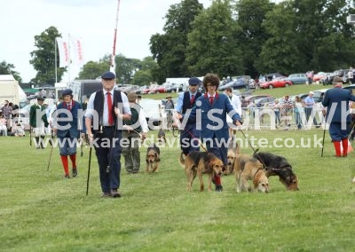 IMG_8203Eastern Counties Minkhounds