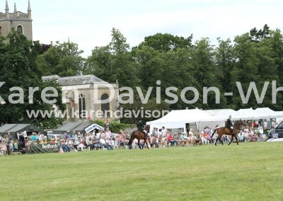 IMG_8205Easton Harriers