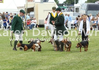IMG_8206De Burgh and North Essex Harehounds