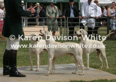 img_8206taunton-vale-karendavisonwhite