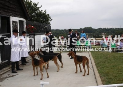 IMG_8220judging the doghound E&S karendavisonwhite