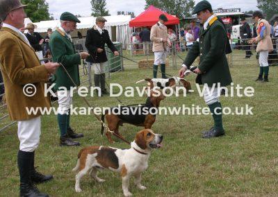 img_8237pborough-2015-karendavisonwhite-de-burgh-middle