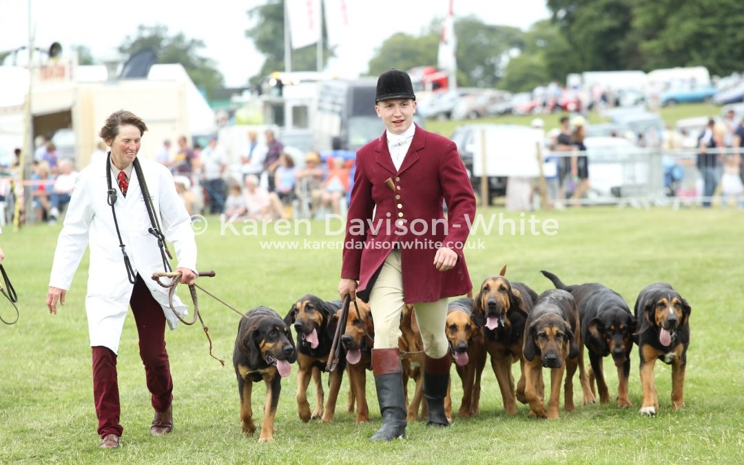 Euston Rural Pastimes 11.6.2017 Final take