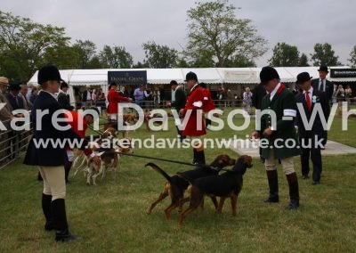 IMG_8295stud book harriers pboro 2016