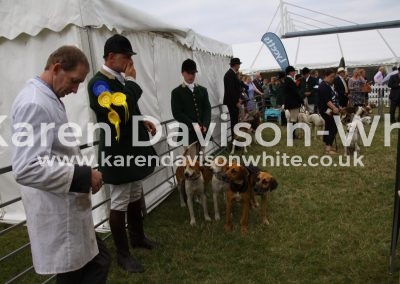 IMG_8378Easton Corporal Concorde Bailey and Bantam karendavisonwhite