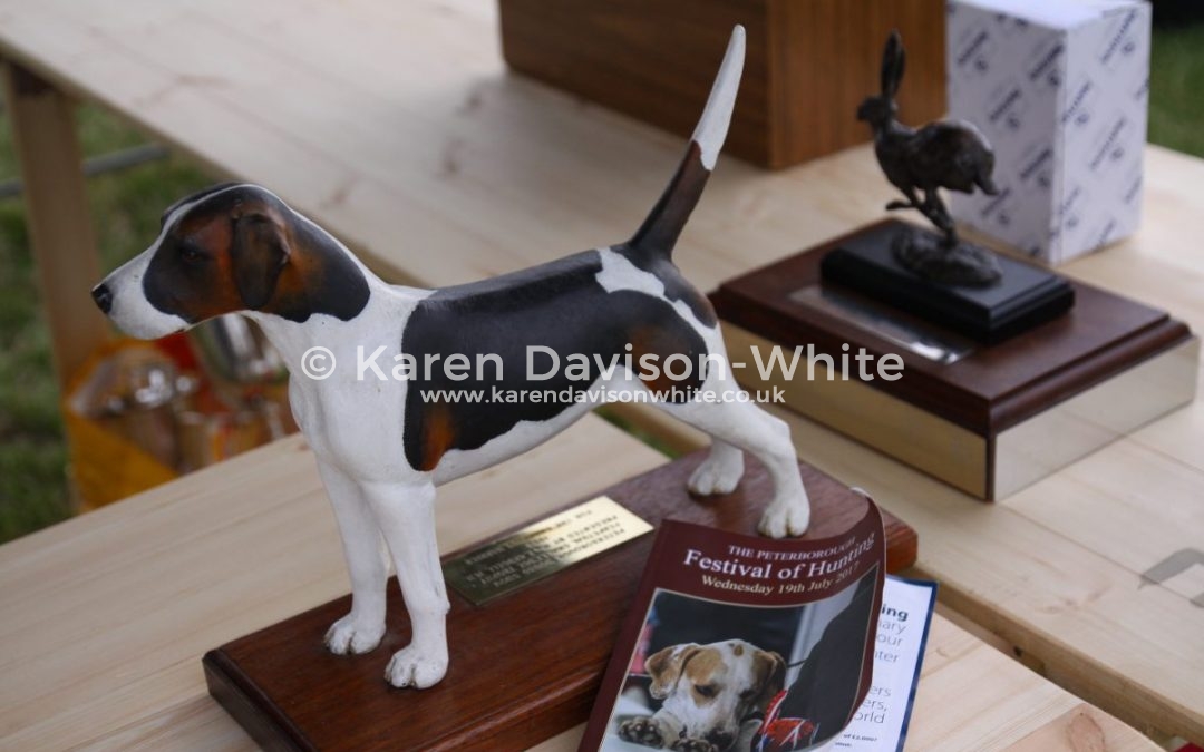 HARRIERS – Last little look at Peterborough