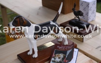 HARRIERS – Last little look at Peterborough