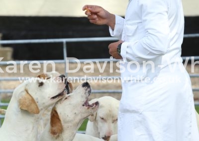 IMG_8438Freddie Morby KH WNFH