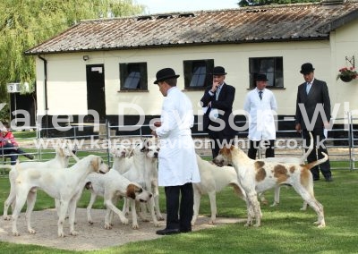 IMG_8440Looking at doghounds