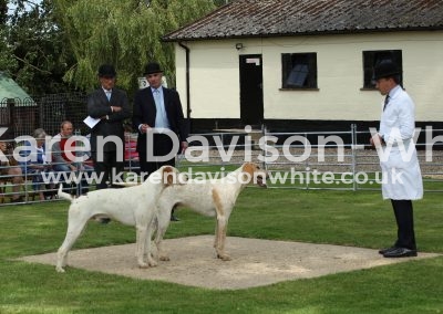 IMG_8478Grappler 3rd Gramby 1st North Cotswold Gripton '13 Bicester Pampass '12