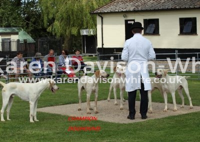 IMG_8490Gramby North Cotswold GRIPTON '13 Bicester Pampass '12