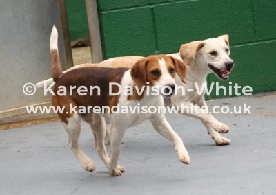 IMG_8545 Percy tri and My Warlock