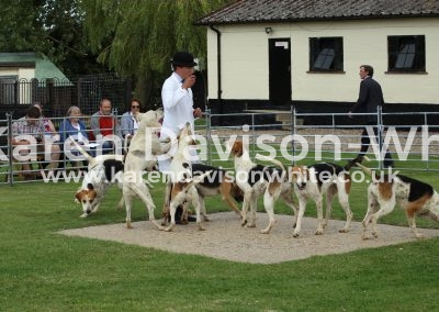 IMG_8545looking at the bitches