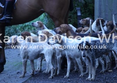 IMG_8565Essex & Suffolk