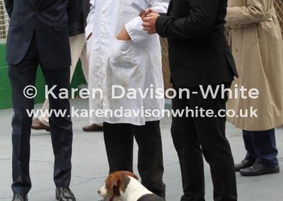 IMG_8581Pitcher ch.dh. Dummer SOLDIER '16 - Dummer Pipit '11