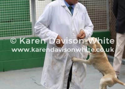 IMG_8591You know what they say in hunt service JUMP! - er. how high