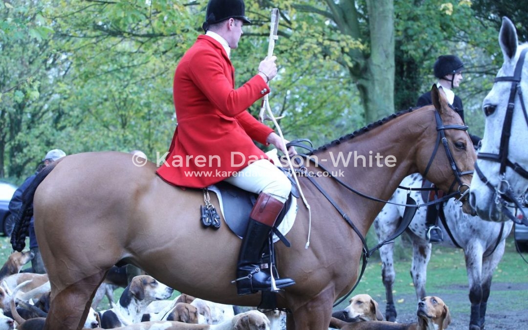 Essex & Suffolk Foxhounds