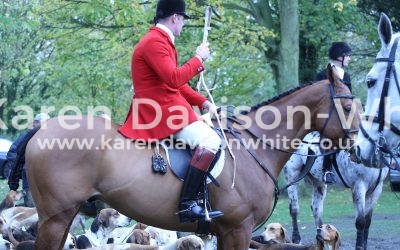 Essex & Suffolk Foxhounds