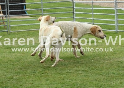 IMG_8628Starfish and Gramby