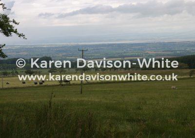 img_8648cumberland-country-karendavisonwhite
