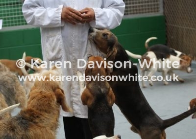 IMG_8653Stephen Batchelor