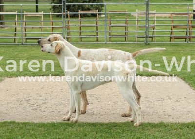 IMG_8659Starfish and Gramby