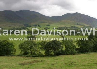 IMG_8668skiddaw karendavisonwhite