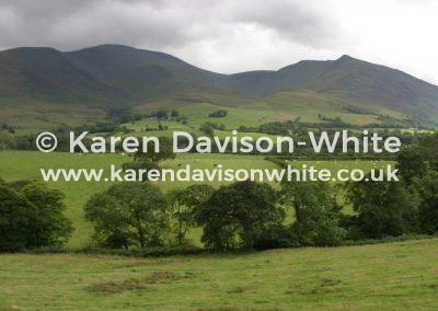 img_8668skiddaw-karendavisonwhite