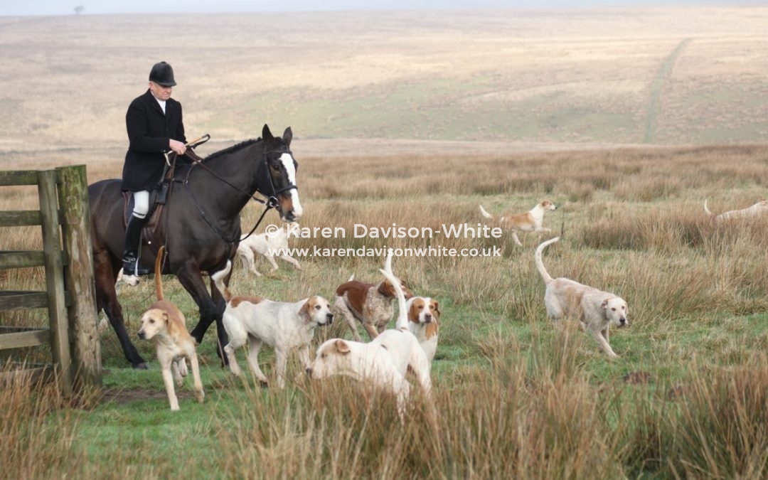 Exmoor Foxhounds 17.12.18 part one.