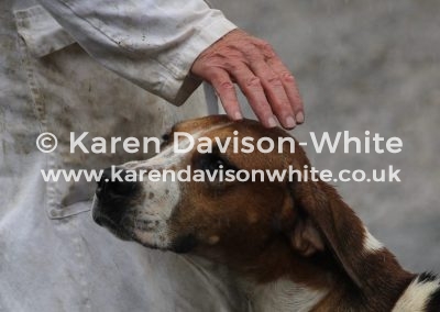 IMG_8723karendavisonwhite (2)