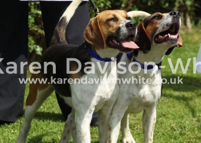 IMG_8734high peak just too hot karendavisonwhite