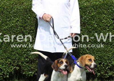 IMG_8749 trail layer Linda Dutton