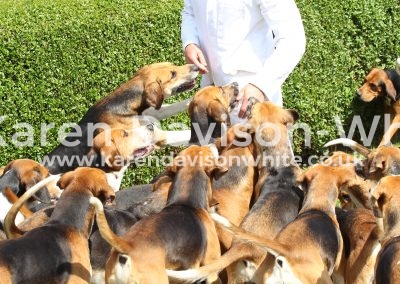 IMG_8779Dougie Killick Huntsman High Peak Harriers