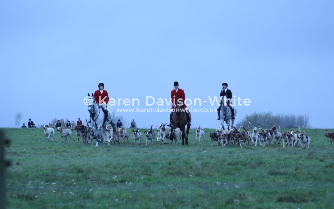 Suffolk’s mini Leicestershire