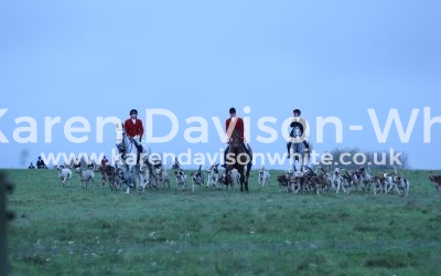 Suffolk’s mini Leicestershire