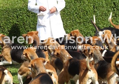 IMG_8785High Peak Harriers karendavisonwhite