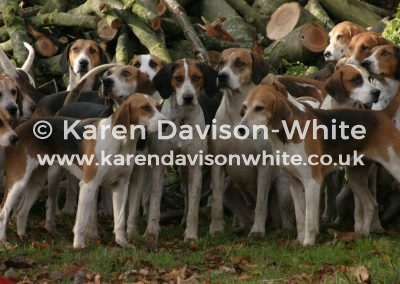 IMG_8830WAVENEY H NOV12 KDWIMAGE